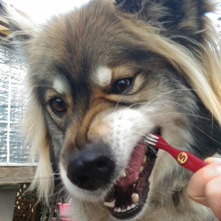 2280ee14 3212 41d0 bd29 6bb4fe7f2a48