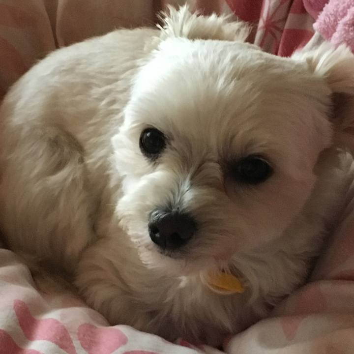 22813620 ea9b 44a0 b270 d8e1a158dd5f