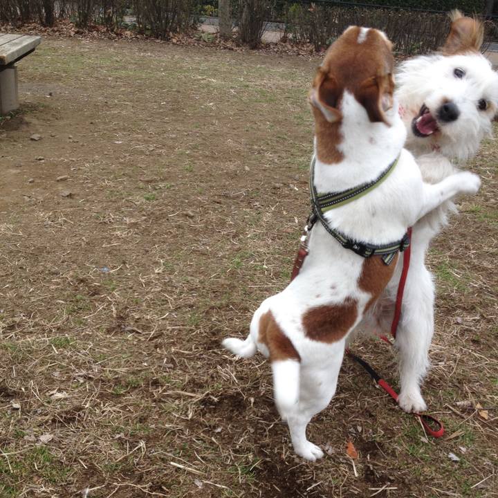 2281a5fd c4f0 40d2 9841 e6c68a5a89ad