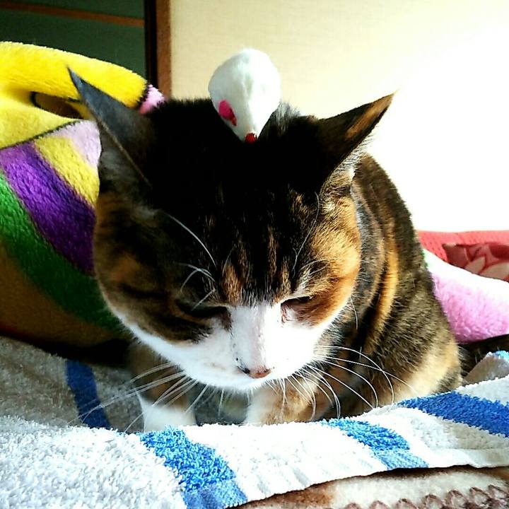 2281bff0 4790 494f a381 5d0e3e63a824