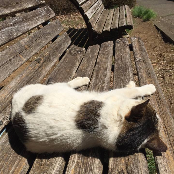 2281e579 cd1b 4398 a038 ff7ef8ef1450