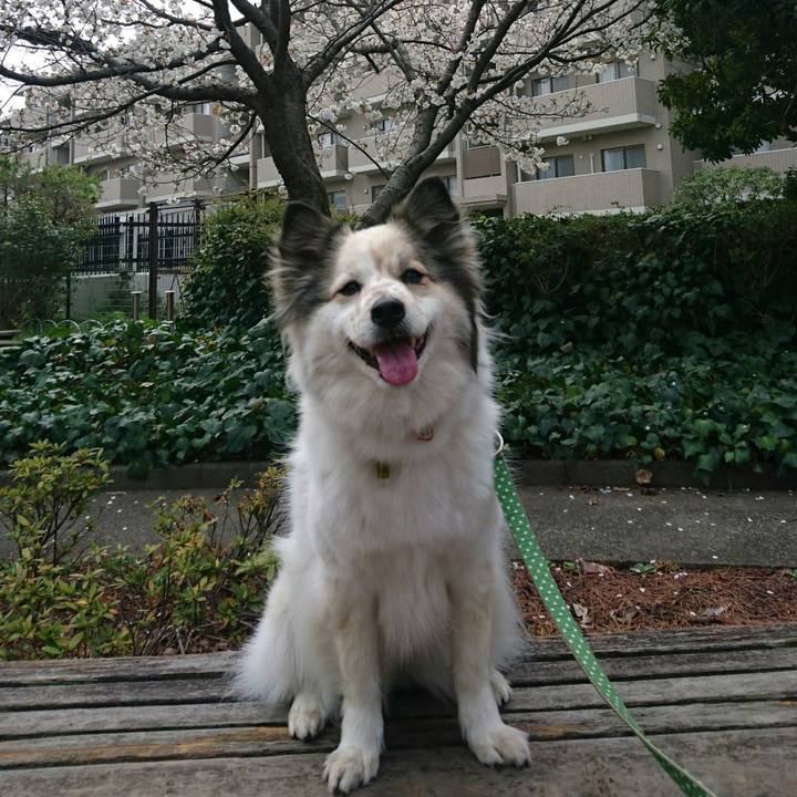 22822bed d644 4afa 9c11 e5fe12c575e9