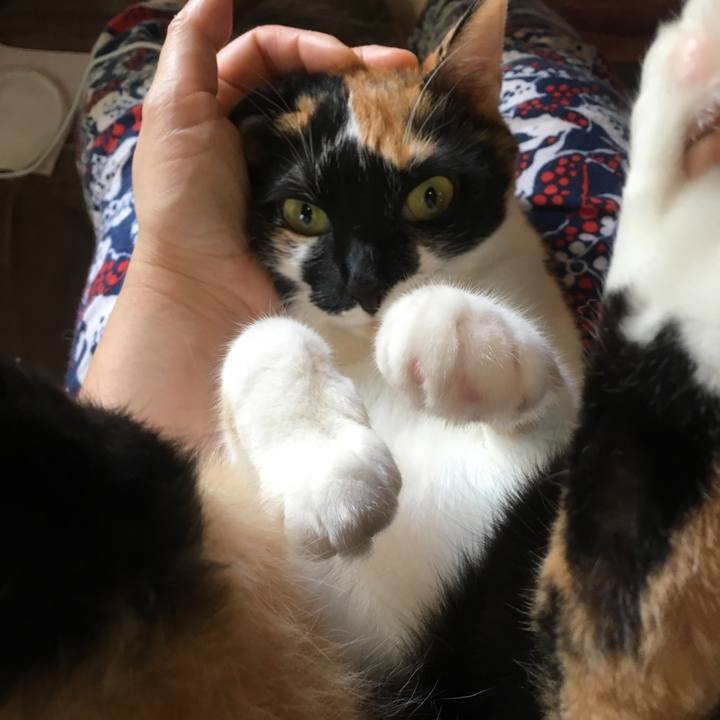 2282ca3e 6932 4ea4 b30e 7ed56d2b22ea