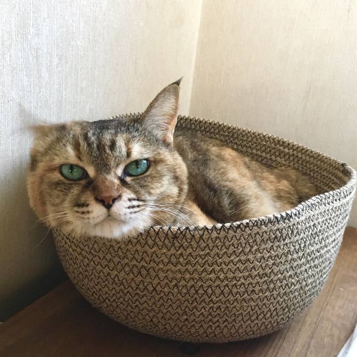 22837d9e 24bd 4ed1 9e4d 01a26e121576