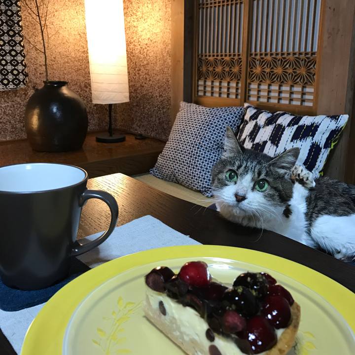 2283b1fe b0c5 45e9 93a8 75b9a61f9548