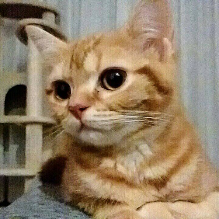 228548c7 b7d2 4580 9975 923a51489d93