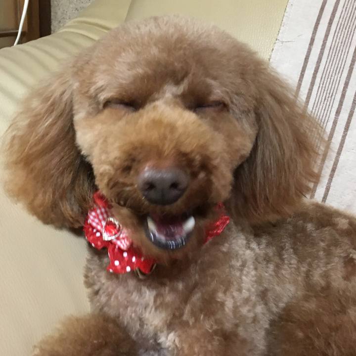 228564fe c4b5 48b8 a64b 1cd96f40213c