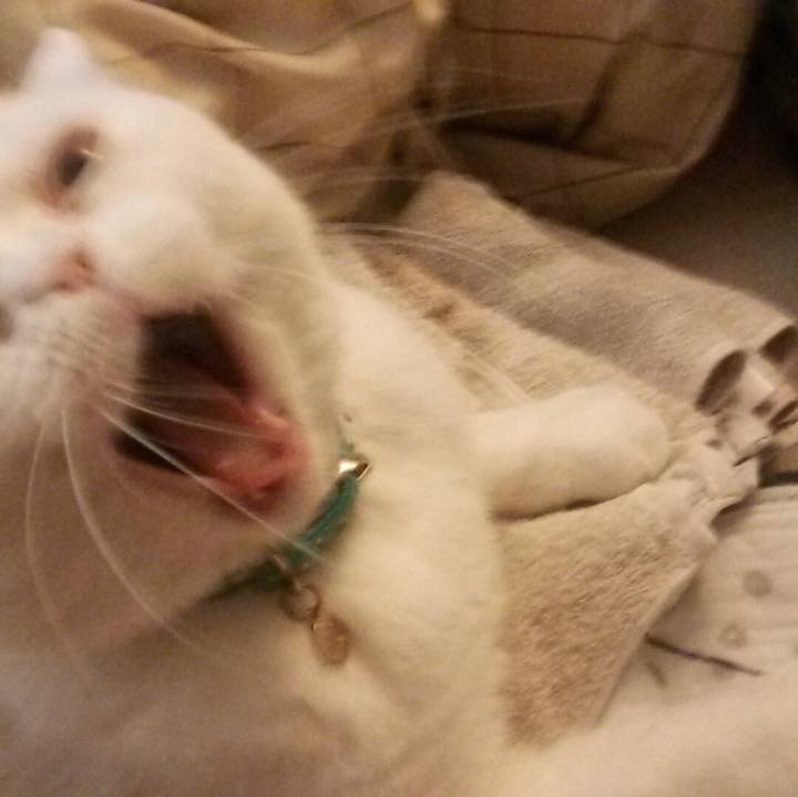 2285dc7b 48da 46db 9b7b a5697add12bc