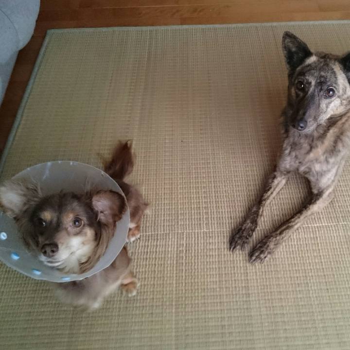 2286c4cb f3c8 4f60 b7f7 cc1cc732cd0a