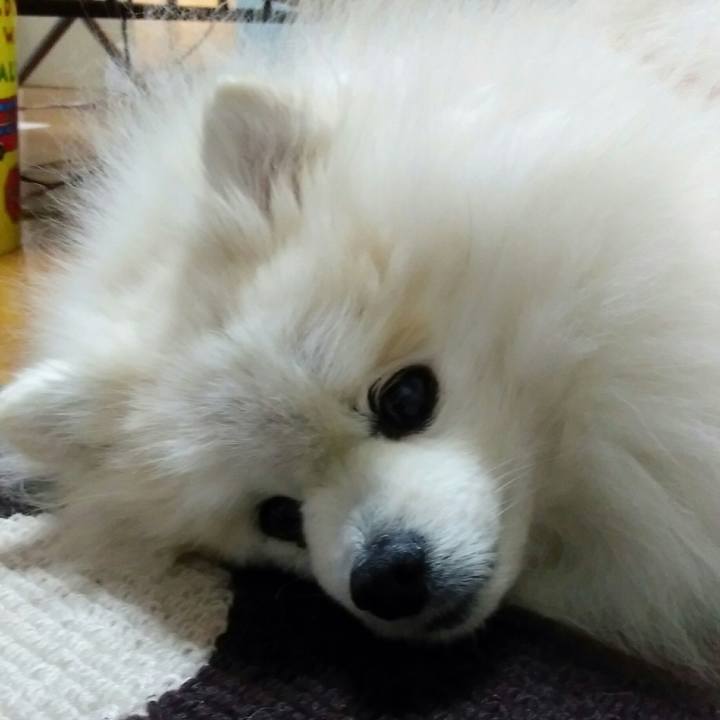 2286cfde 9a7a 4839 ace1 b15dd8e4a567