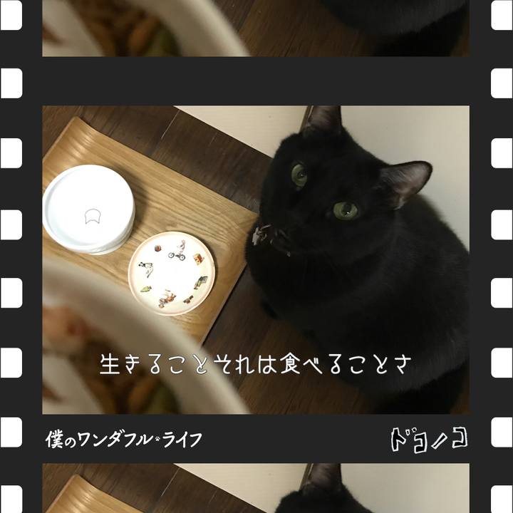 22873122 6e8d 4587 b95d f04abe9698e6