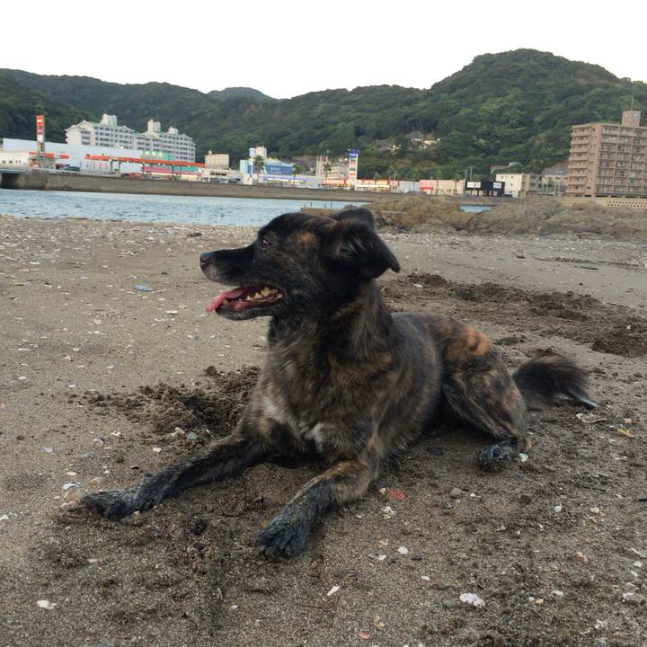 2287cf68 a26b 4ef1 b07f 909682240aaa