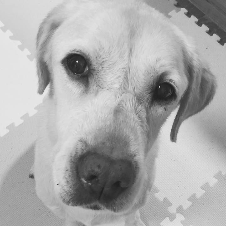 228801bb 9f05 466a aeda 9949c40fc323