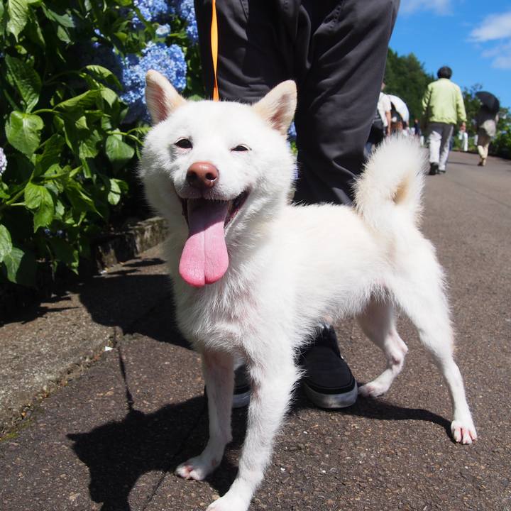 22880328 c14e 44e2 94ab 04bd1aec8fa2