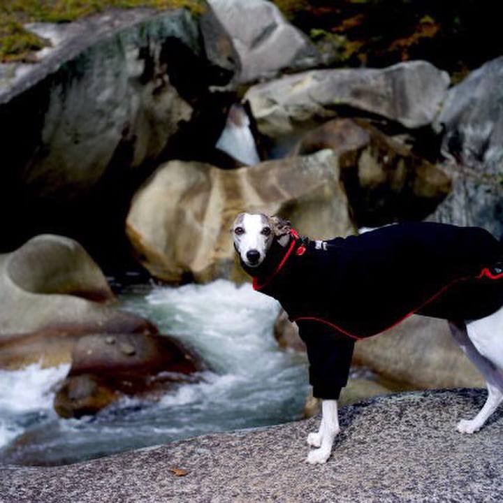 2288bc4e 6f93 43d0 8de5 af65c87e4999