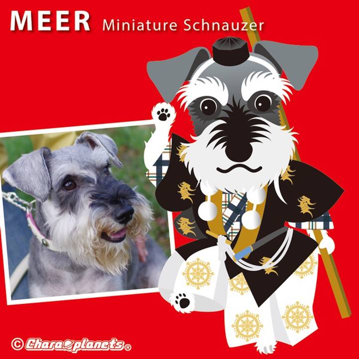 2288c3ee 9128 4b74 bc82 c8feb7c79d81