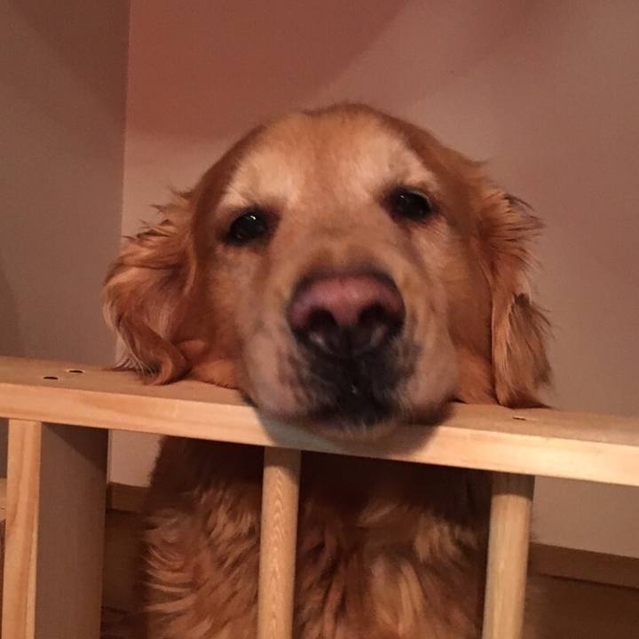 2288d81b 7184 4213 af99 14f1e3fcb7b2