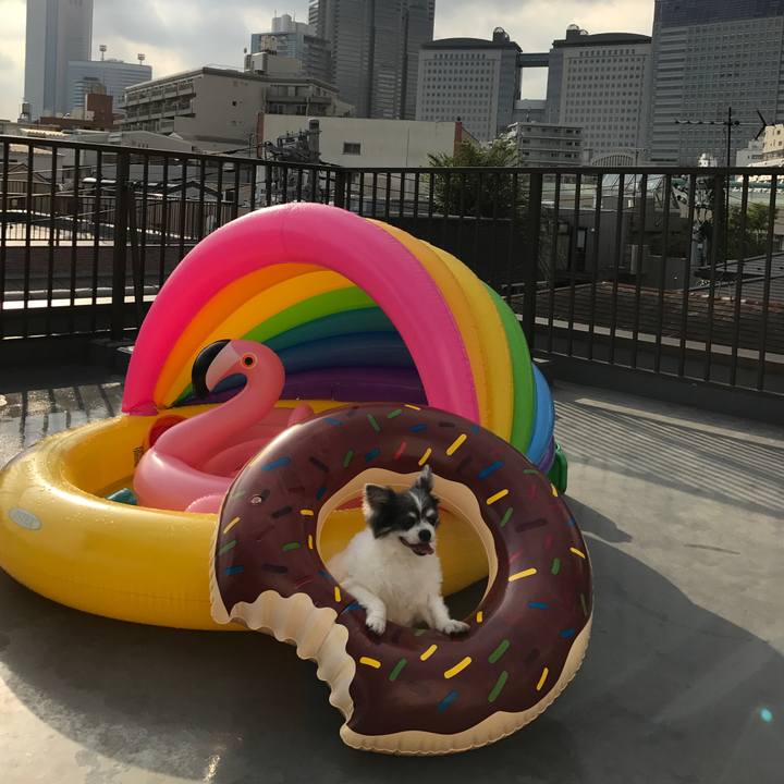 2289cd9e e83f 4ee6 8a57 716e9f983236