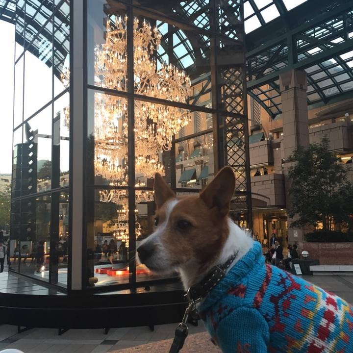 2289d7df 775f 49b2 9fd2 a4164a12ccc2