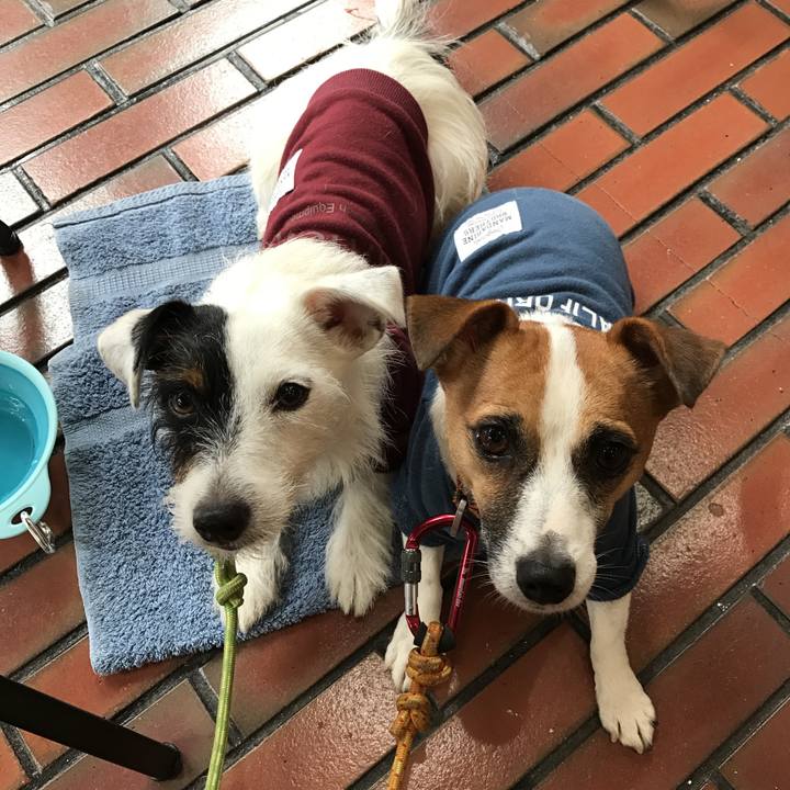 2289fead 1d63 4c57 b104 6a1fa0588e7d