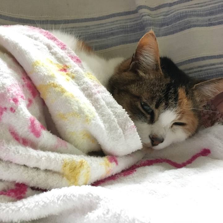 228a34e6 7476 432b 989a ccbf294c9e79