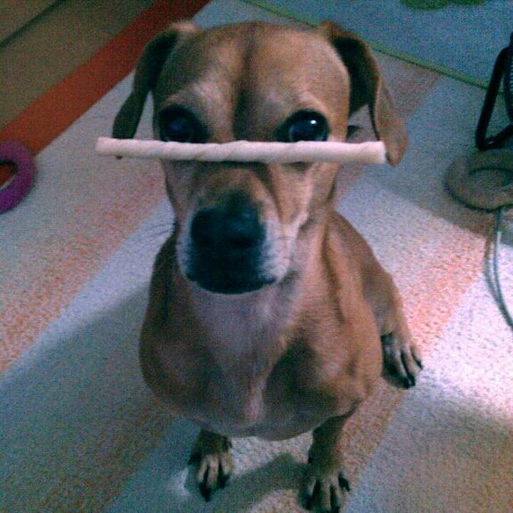 228a8920 3cd7 43c6 aaa9 d23b08d164b5