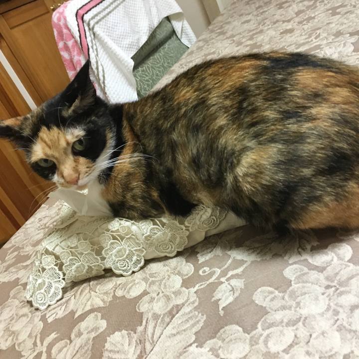 228b8194 6ea0 48ce b925 0933bec149b4