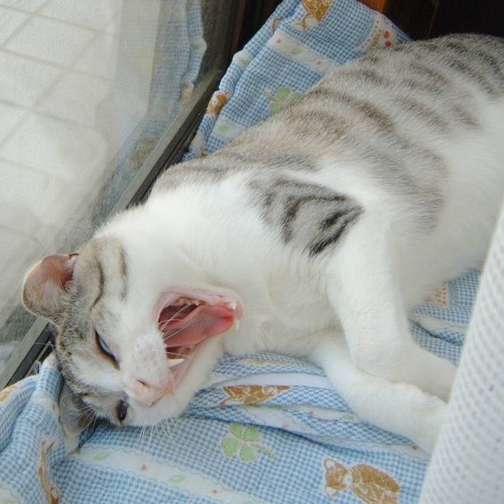 228bad17 cd89 4896 9168 f222511cfb30