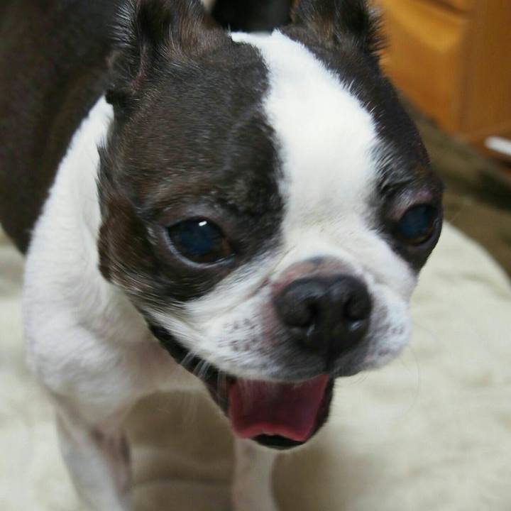 228bb8fb 634c 4d85 ab03 f96314339e88