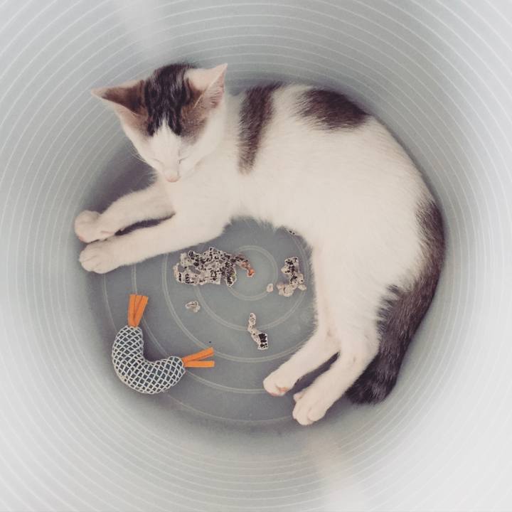 228bcab2 be22 48e8 a842 30a7bca9539b