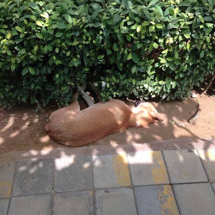 228bd5c4 8083 4696 9183 6358d6134ea6