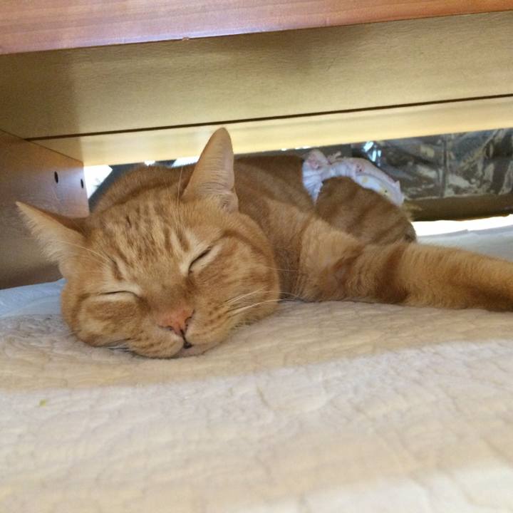 228c2f4b 7731 4a2d ba5f 856a56a1d4e5