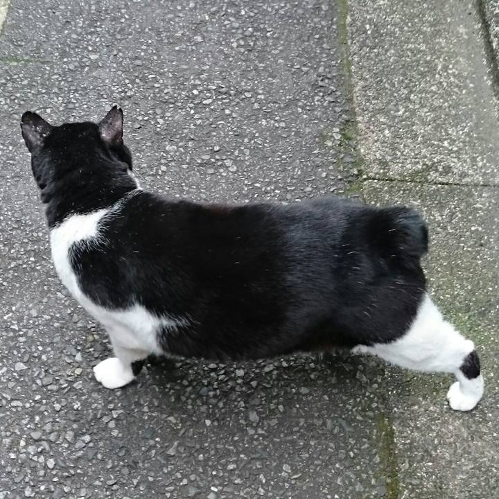 228c41bd f7a0 47ff a722 ea86b0abe58f