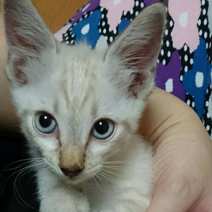 228c4801 8b0a 4fe9 aafd 4b1cae2f4380