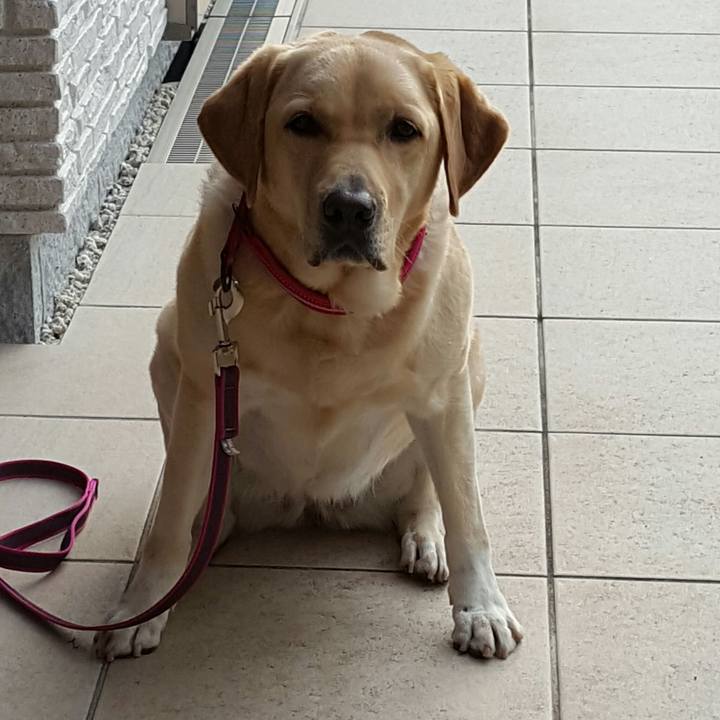 228c688f 0f4d 4214 8b1f de002c8eacb5