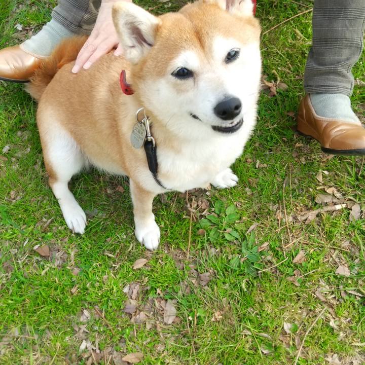 228d20be 4b52 4f86 b1c3 0988b37bfbf3