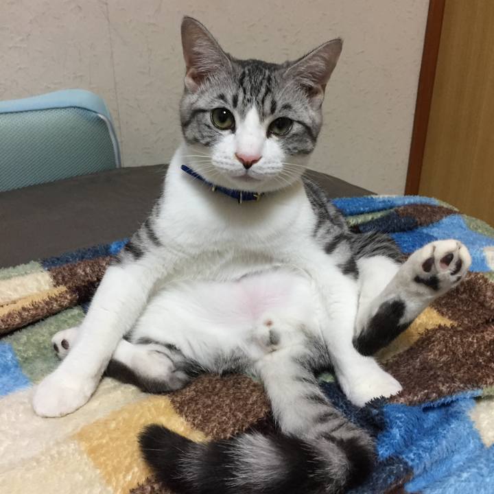 228d26bf 18c6 4bc0 87ab a6b4f40648ee