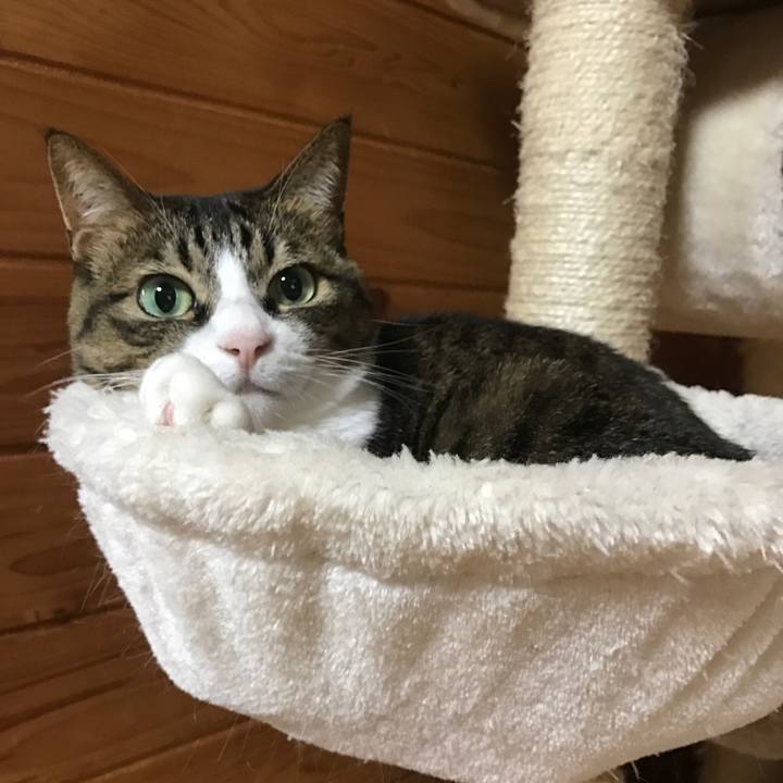 228d3db1 ddb2 4113 9bdd aed1f5fe2d03