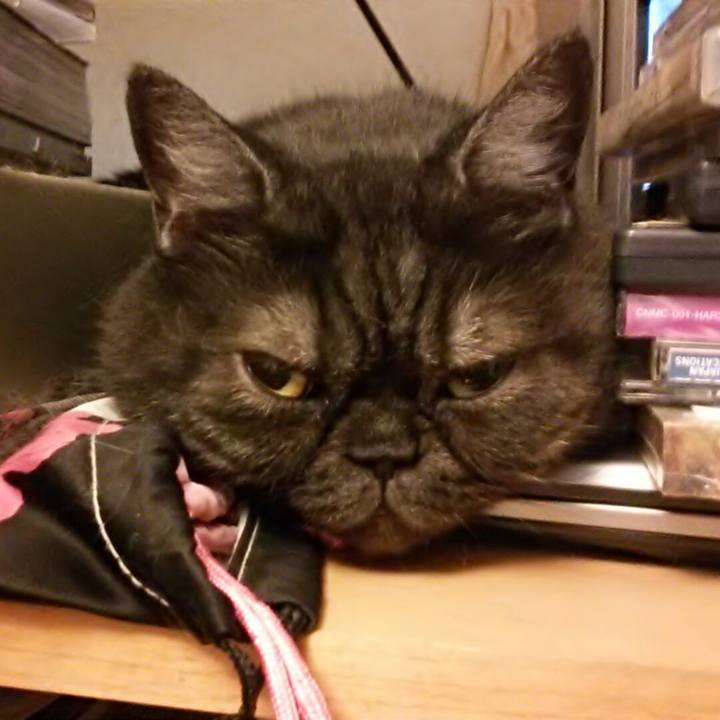 228d7bc0 b070 49d0 ba09 edbcc48d405a