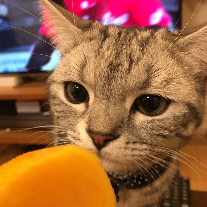 228e0624 3bf5 46a8 b72a 8386f87ce6e7