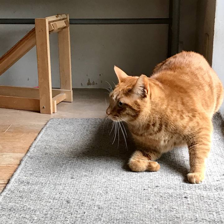 228e91b6 31e1 4c26 8fe4 cc340edfceb6