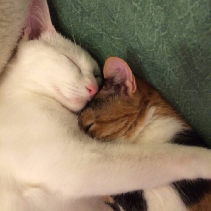 228eda23 24f9 4458 9f8f d30176f8cbfc