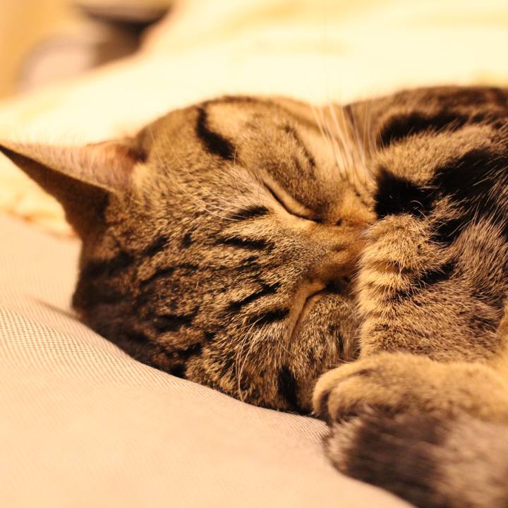 228ee20e 43f7 4c37 aa26 8e2a58be108b