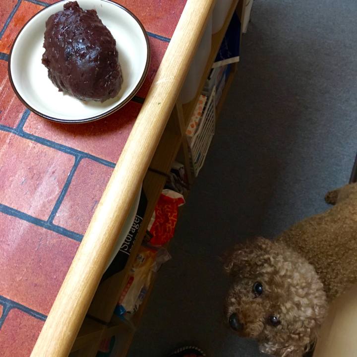 228f48d5 ab95 4e42 a860 ee95921a4422