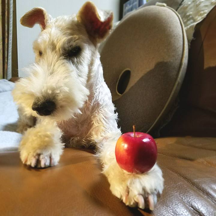 228f9305 76e7 471b a2d2 5a614971d2a4