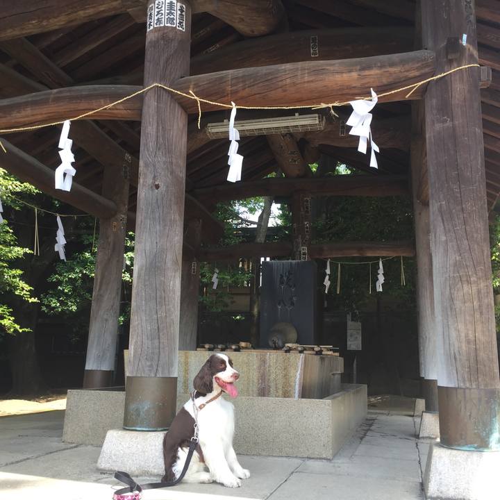 22909d0e 5521 4119 9b71 9680d5629554