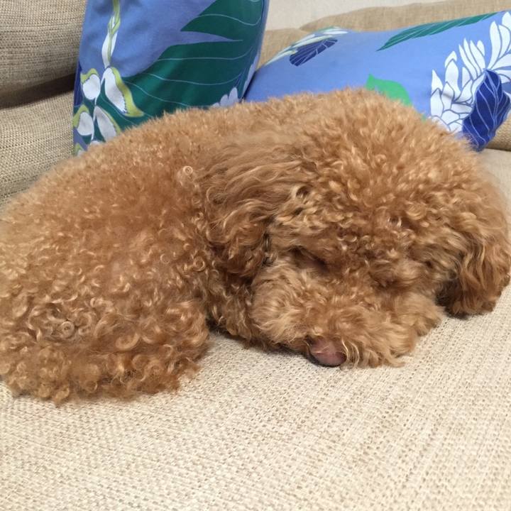 22913376 bf2c 4710 b0c3 e2f071e4dc34