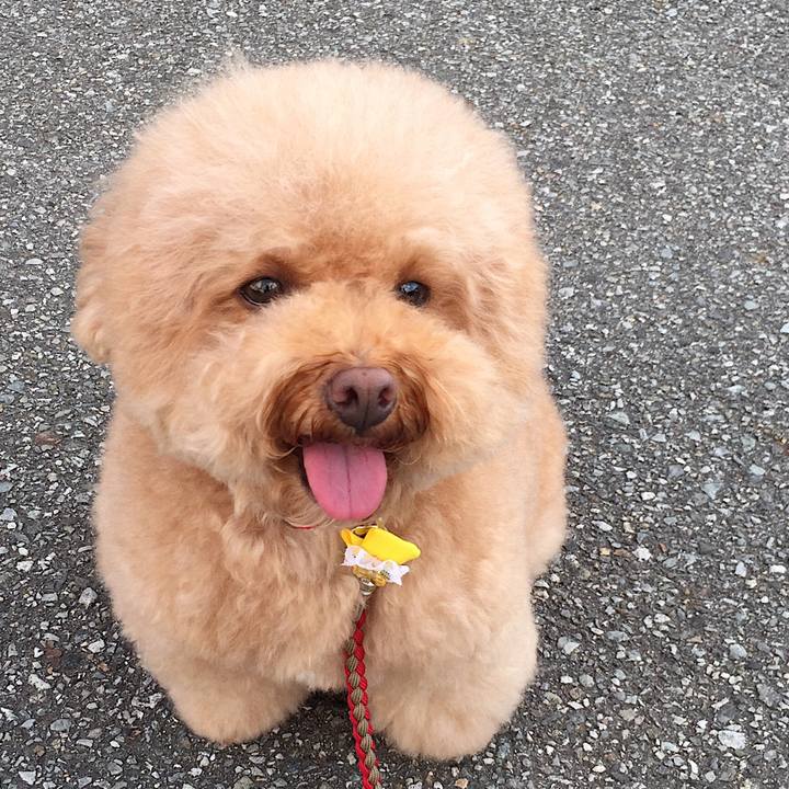 229178d8 bb57 4807 83fd 8e09ad54b756