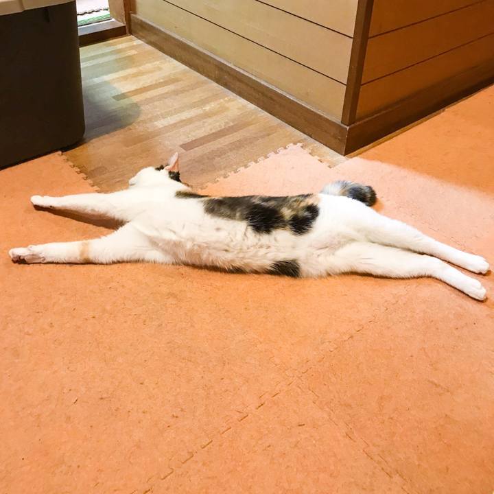 229181f3 6dc7 4c95 8907 75118e4355f0