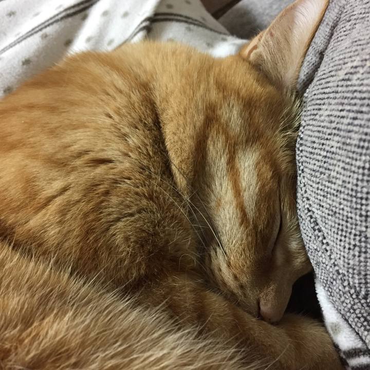 229185f5 b487 4323 b128 b82679c604bd